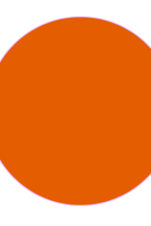 SIDE SCRUNCH BOTTOMS - The Bikini Room