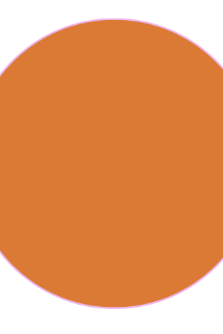 CROPPED LONG SLEEVE TOP - The Bikini Room