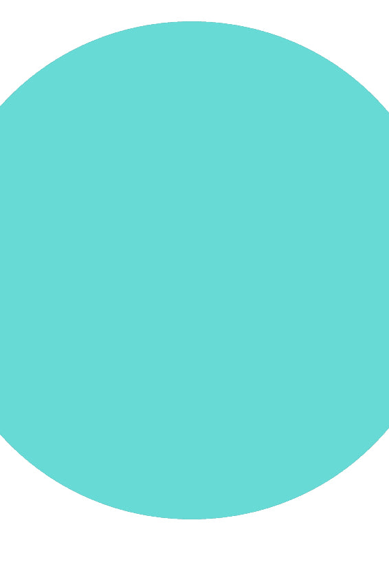 SKIMPY SCRUCNH BOTTOMS - The Bikini Room